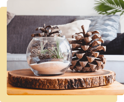 Table Decoration with Pinecones — Professional Builders in Brisbane, QLD